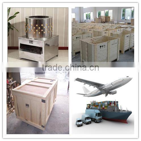 hot selling young pigeon plucking machine quail poultry plucker small chicken depilator