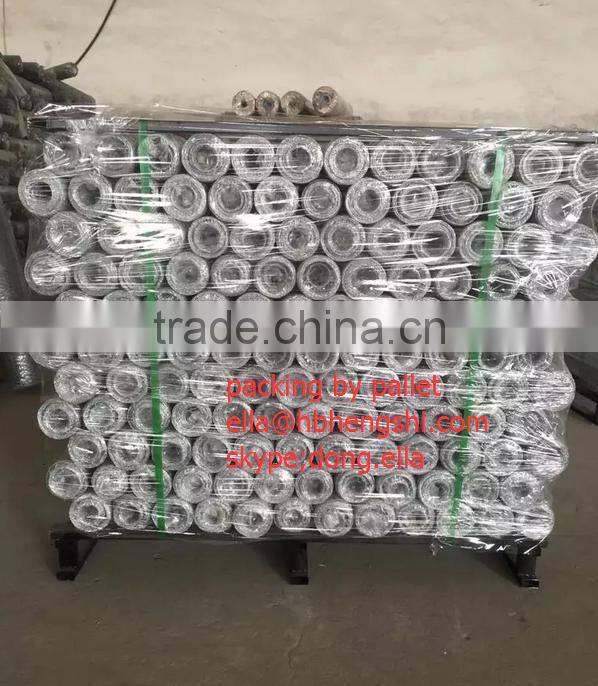 Hot selling galvanized hexagonal wire mesh with low price