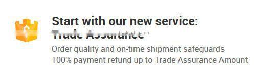 12V 2 Speed Li-Ion Mini Portable Rechargeable Drill