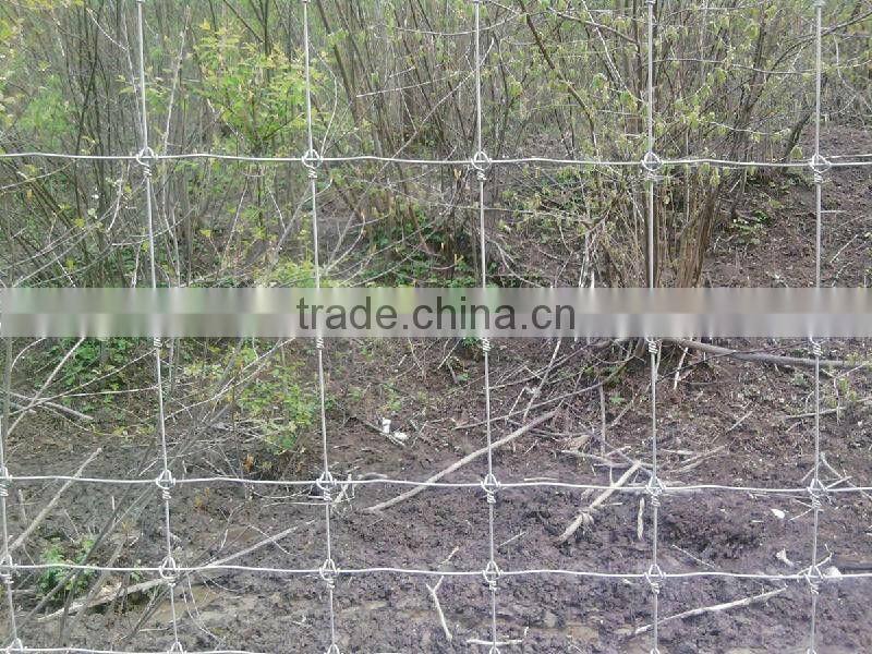 Galvanized cattle fence / Grassland fence