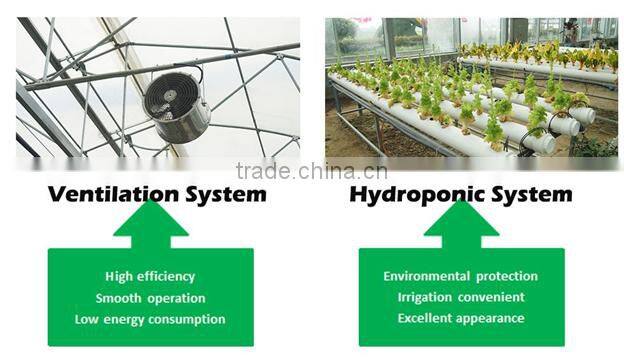 Multi-Span Agricultural Commercial Greenhouses Type and PC Sheet Cover Material Tunnel with Polycarbonate