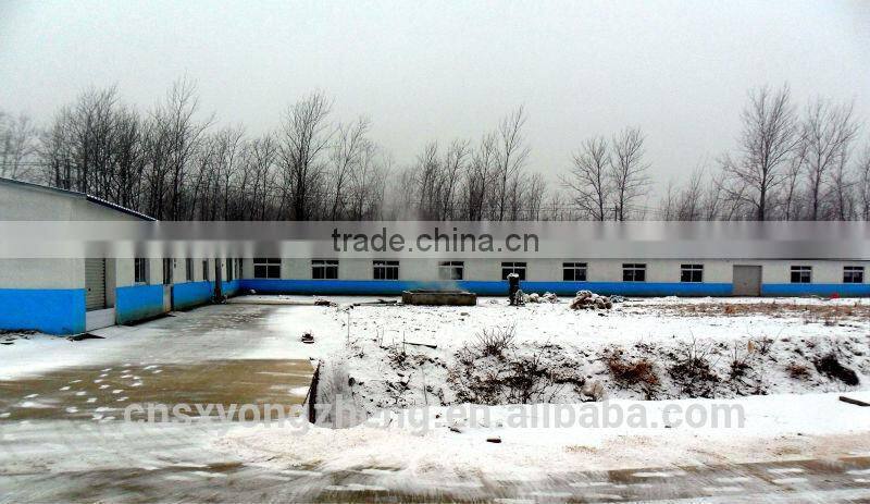 2 cm Freeze-Dried Crickets for Fish & Bird