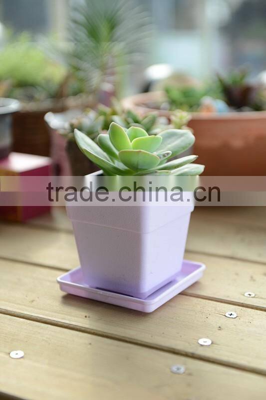 Square factory price plastic flower pot decorative garden plastic flower pot