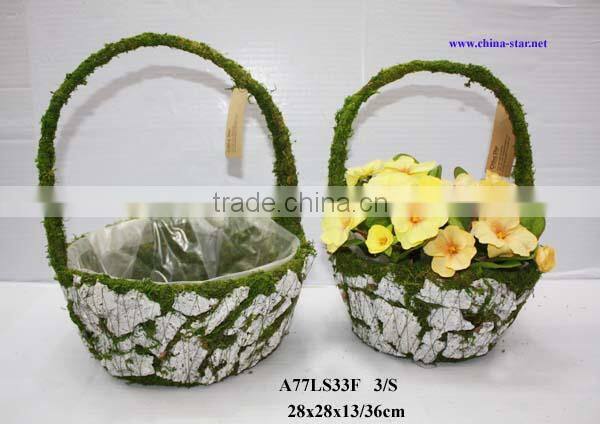 moss covered flower basket
