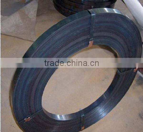 Steel Strip/Dark Blue Steel Strip/Strips in Price
