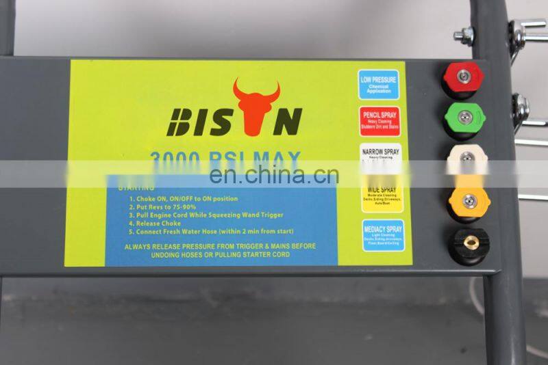 BISON(CHINA) BS-D250 New Design Professional 250Bar Portable Water High Pressure Cleaner For Sale