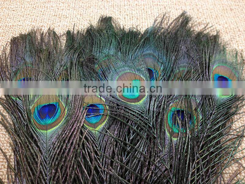 12-13"/30-35cm length Peacock Sword Feather Natural Green For Hats/Costume/Crafts