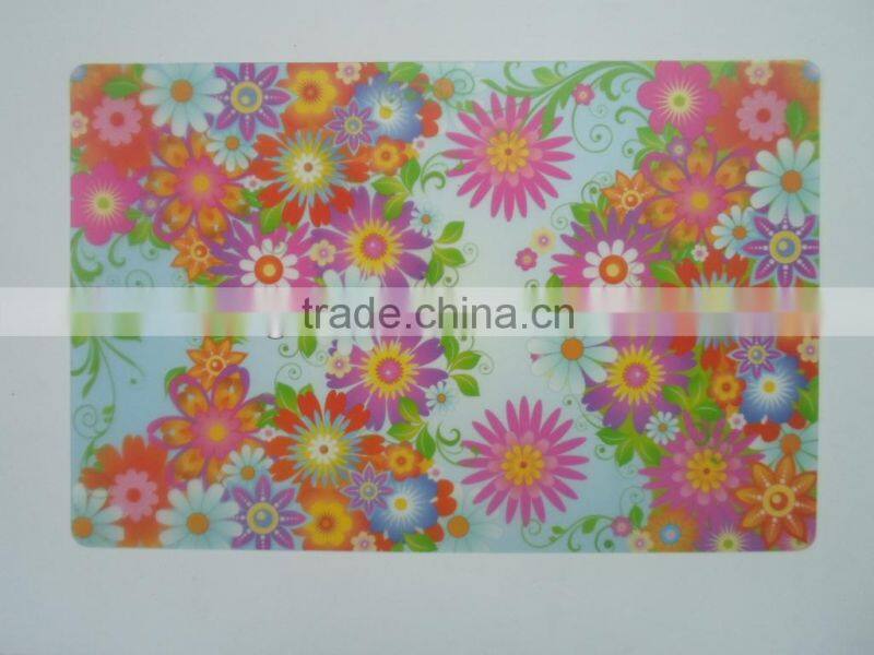 Eco friendly custom design pp placemat, heat waterproof Dining table placemat