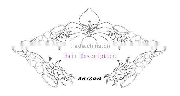AAAAA grade natural straight silk top full lace wigs