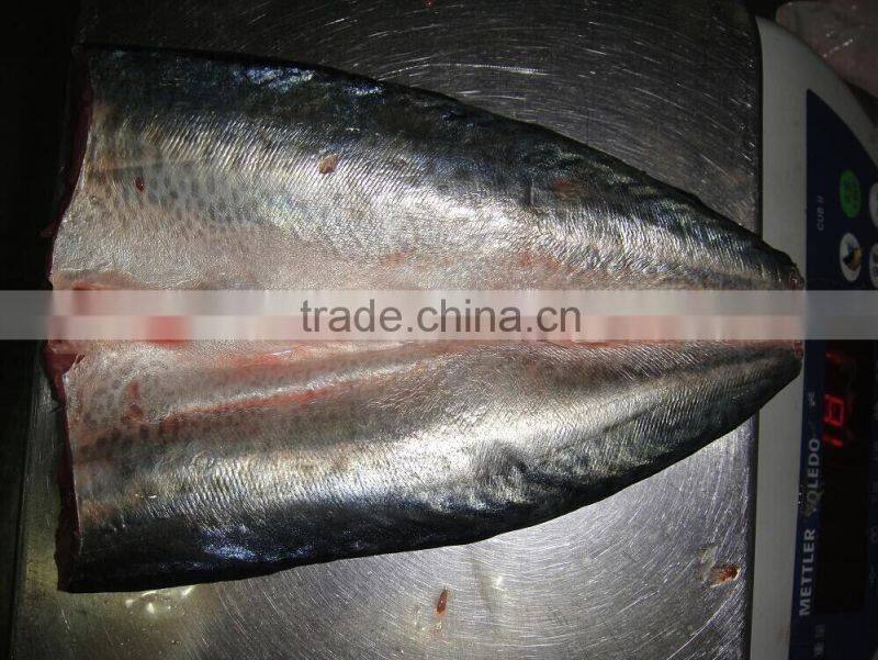 frozen seafish pacific mackerel scomber flaps/fillets