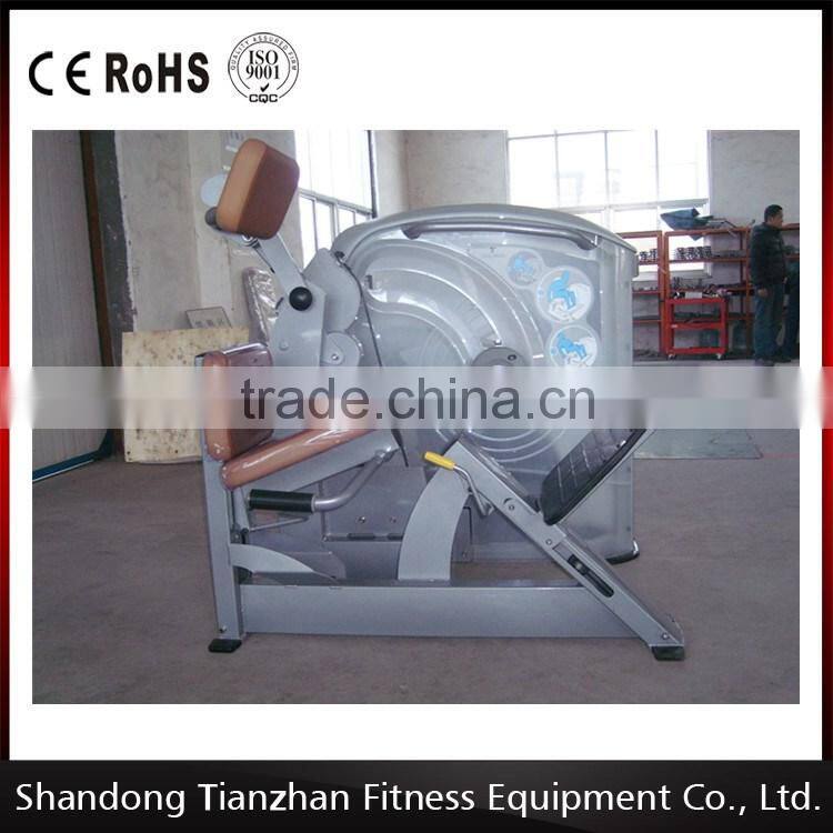 Flywheel Fitness equipment / commercial strength machine TZ-5014 Back