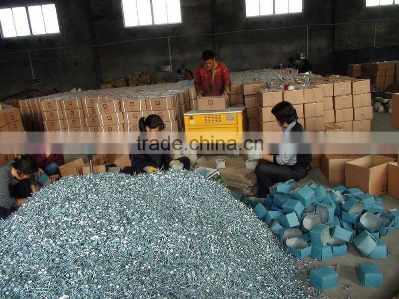 Washer Galvanized Roofing Nails