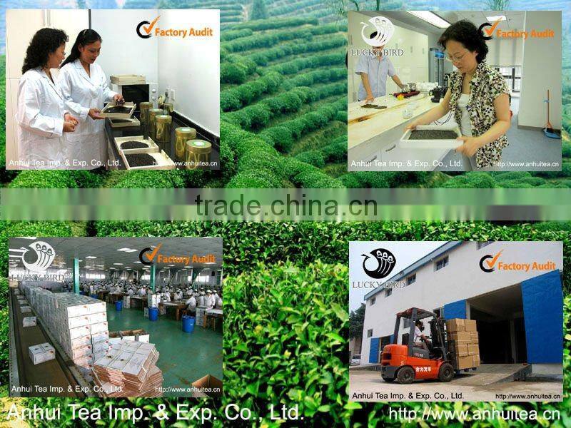 china green tea 9371/ meilleur qualite de 9371