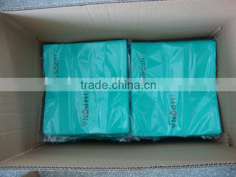 CMYK Printing PVC Ticket Holder with Two Clear Pocket