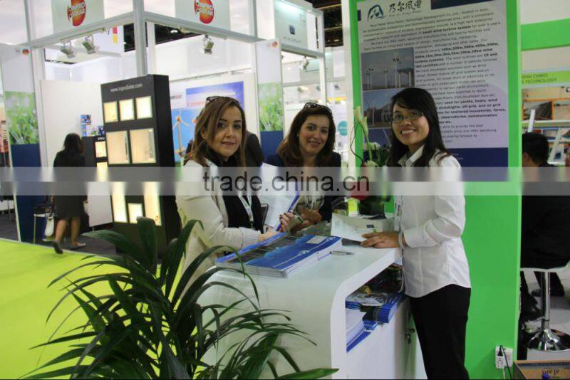 Home use small wind dynamo 200w