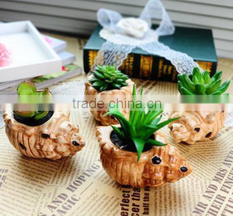 Hot-selling Artificial Conch Potted Mini Succulent Plants