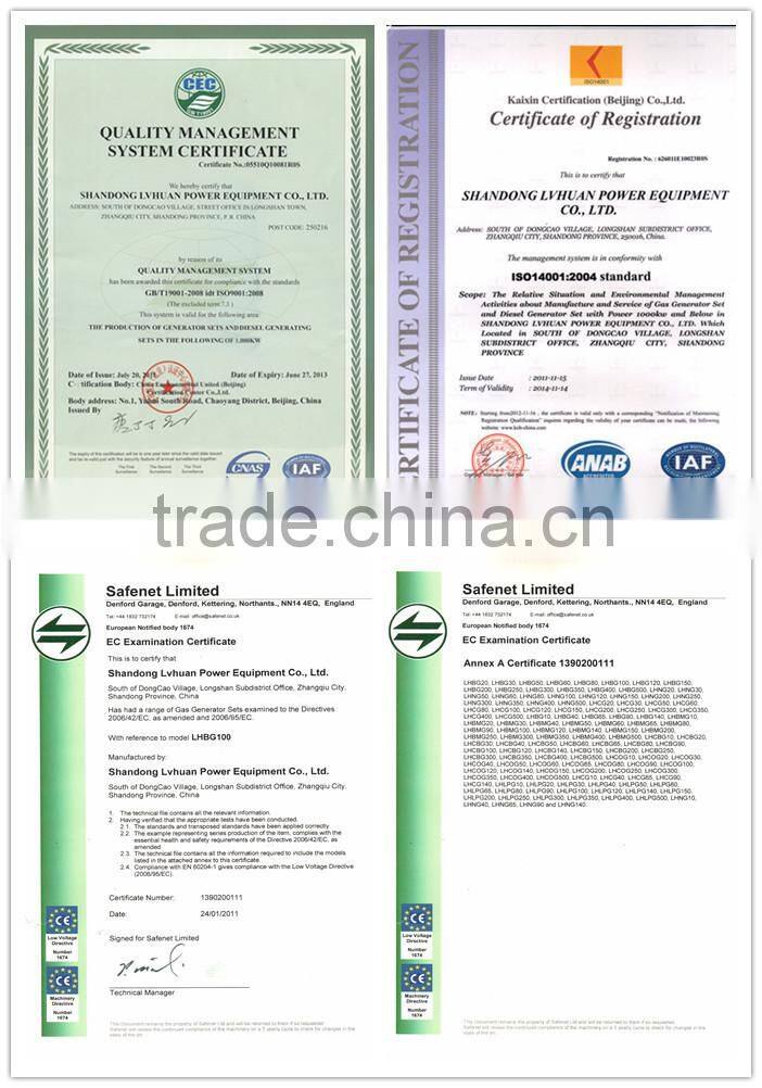 CE certified 10kw - 1mw coal methane gas /shale gas generator set