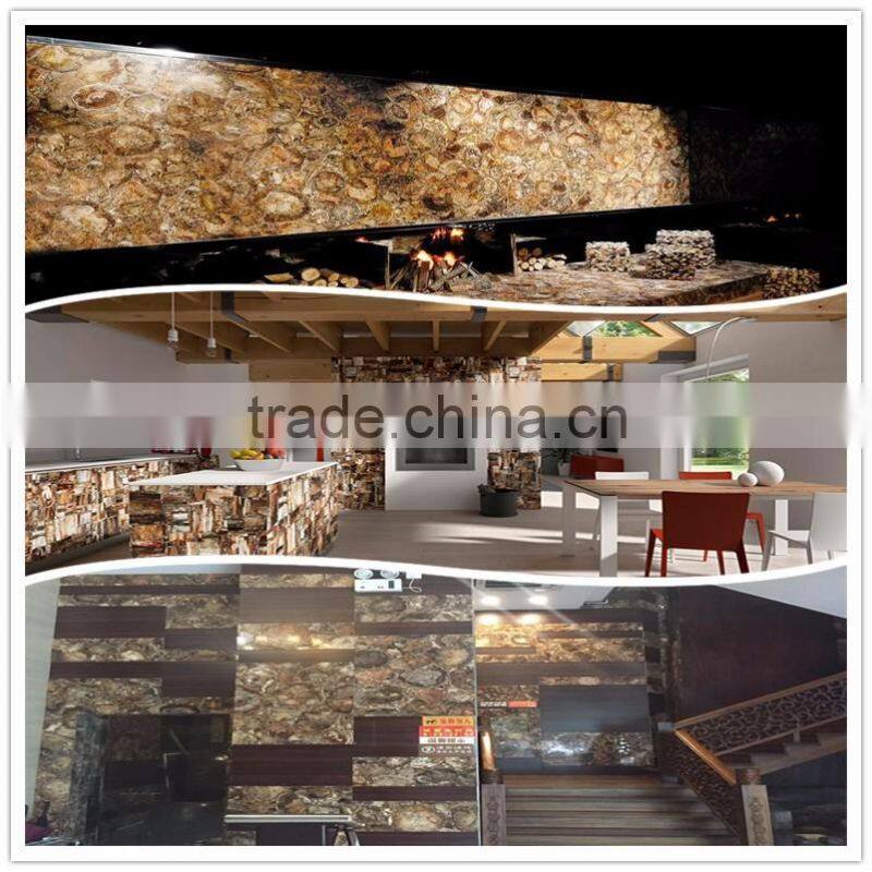 Natural gemstone wood fossil stone petrified wood