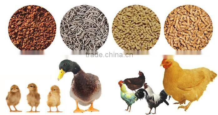 new design top rank bird food raw material extruder with CE certificate