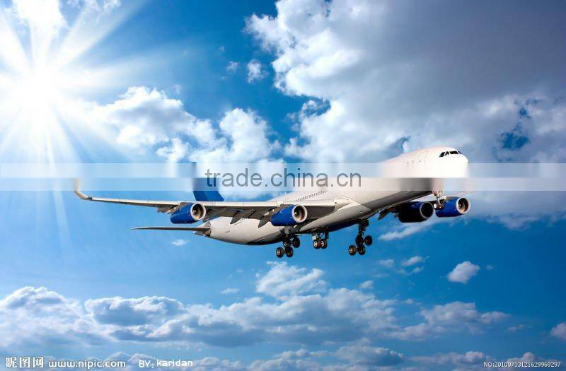 Hight quality sea shipping service in china to Poland