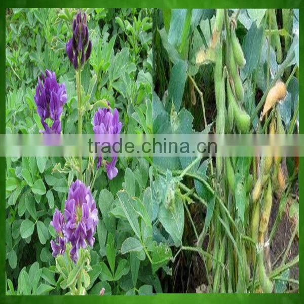 High efficient biomass fuel briquette machine