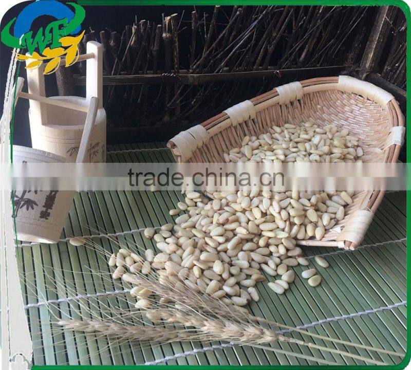 Chinese pine nuts without shell for export
