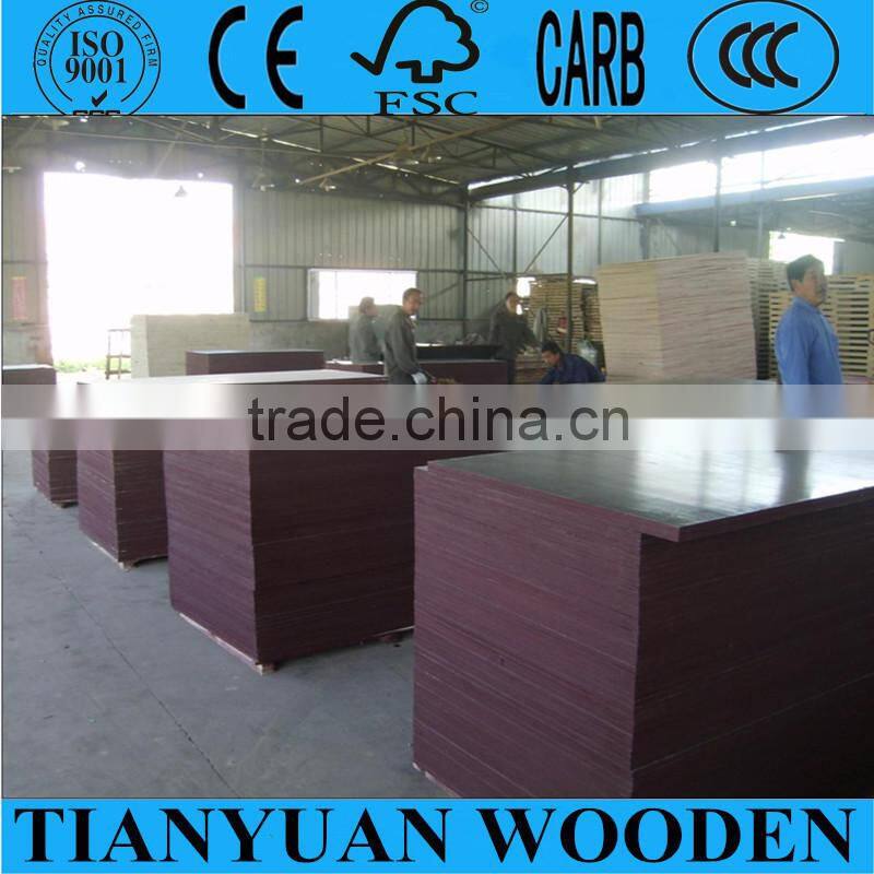 28mm container flooring plywood manufacturer China