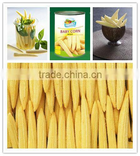 Canned Baby Corn