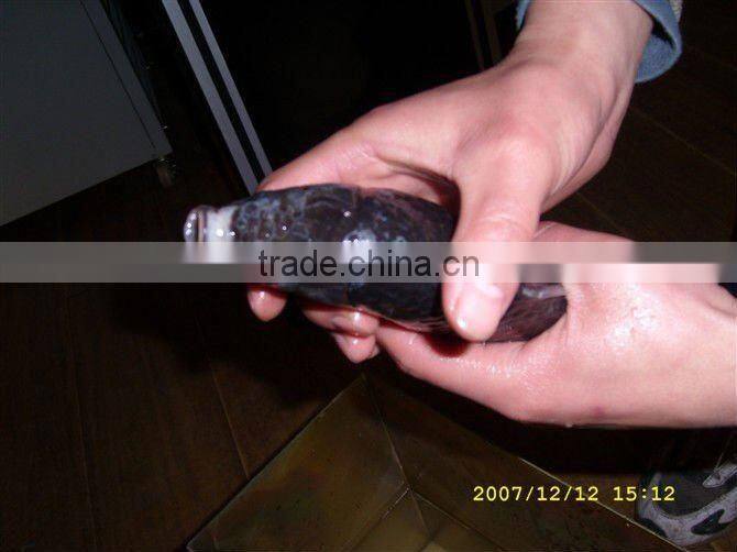 CO2 Laser marking machine for agricultural products logo and production date