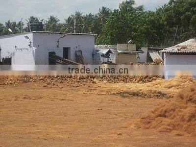 Indian Coco Peat / 5kg Coconut Peat Block