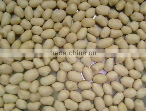 round blanched peanut kernels 2 *12.5kgs vaccum bag/carton