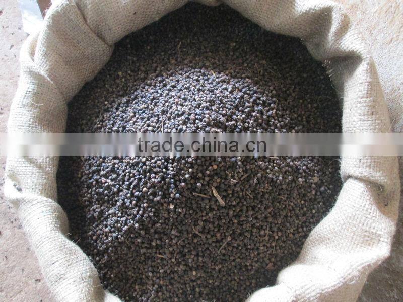 BLACK PEPPER FOR SELL
