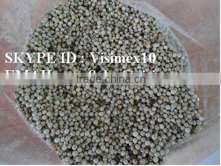 WHITE PEPPER 600 G/L FROM VIETNAM