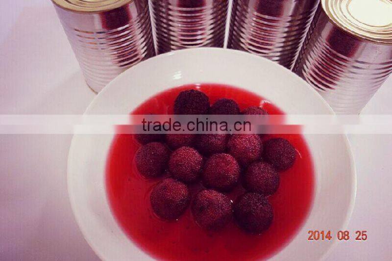 High Quality Canned Red Bayberry Fruit Juice for canned fruit salad