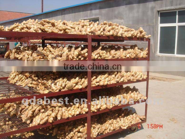 Fresh air dried ginger