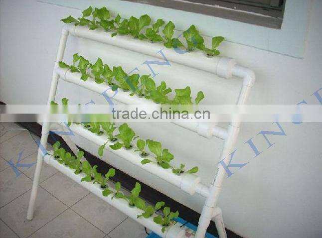 Home used indoor growing vegetable