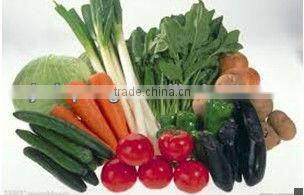 conveyor mesh belt dryer for cassava vegetables and fruits