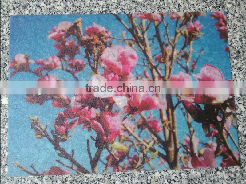 lamination film( EVA)