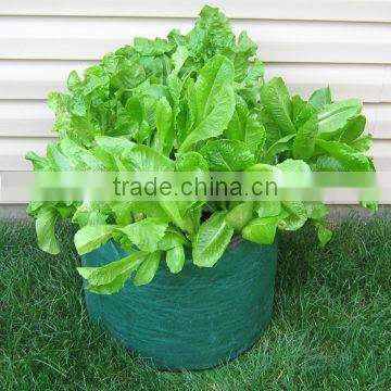 Reusable Salad Planter bag,Salad Grow Bags,Salad Growing Bags
