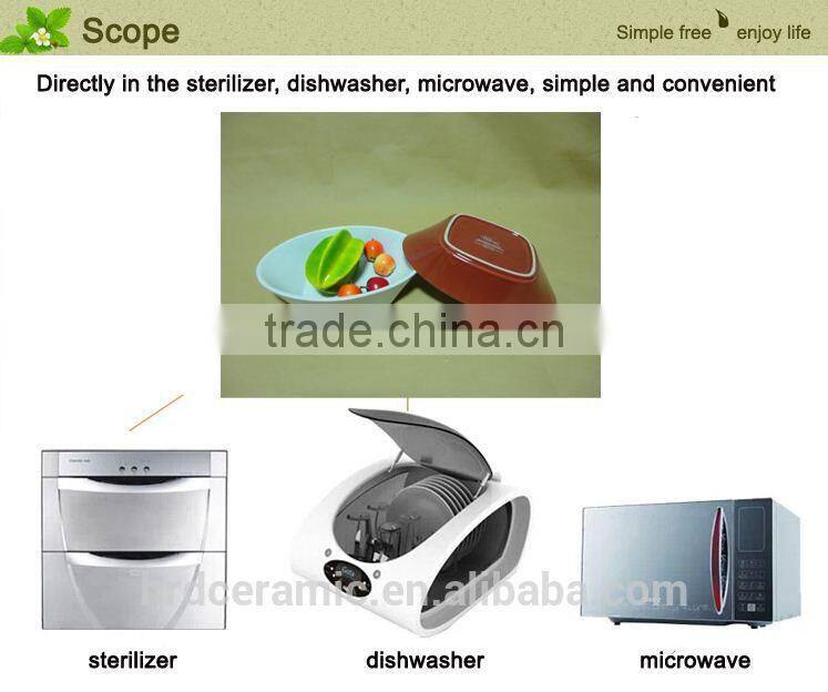2014 new products Chaozhou Ceramics bakeware