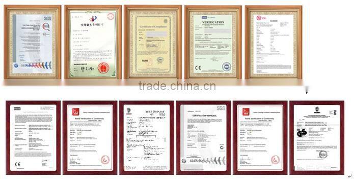 Wholesale new arrival gs approved 100% carbon nordic walking stick