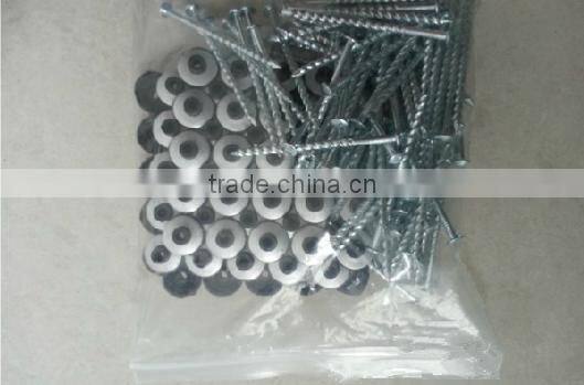 top quality galvanized twisted shank roofing nail screw nail with plastic cap