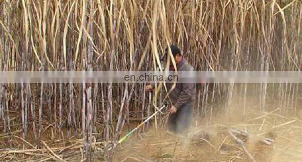 Professional factory supply safety and easy operation gas powered hand push rice cutter