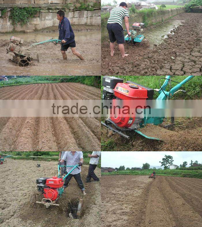 China Supplier CE 5.0HP Gasoline tiller cultivator