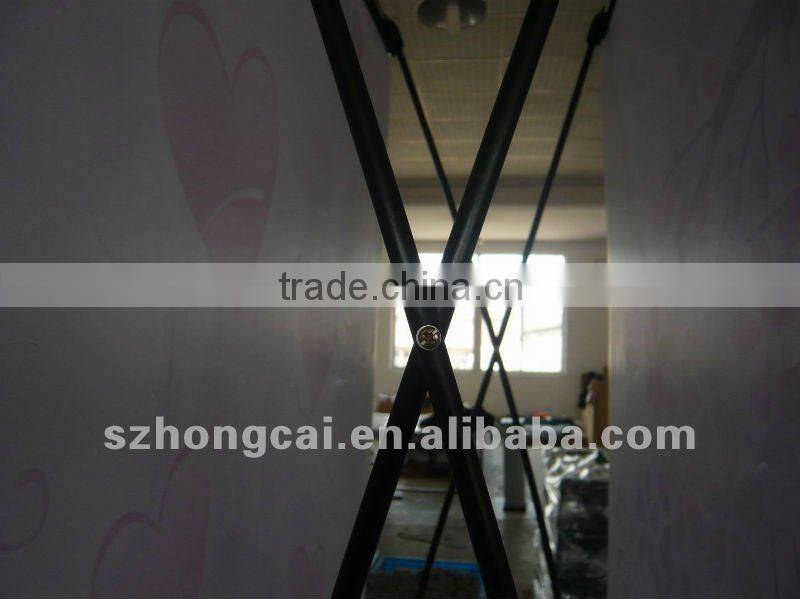 fish type double side show screen