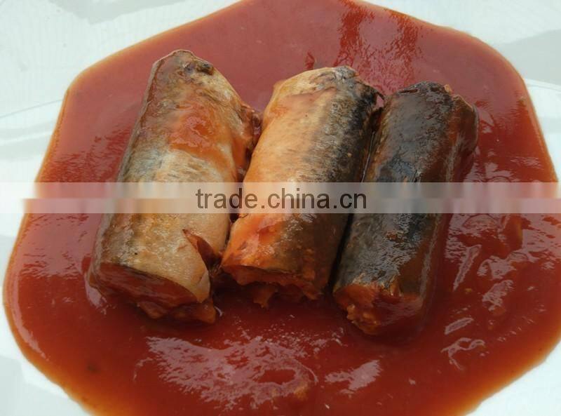 Oval can best canned sardine in toamto sauce sardinas en lata en salsa de tomate (125g/155g/425g)