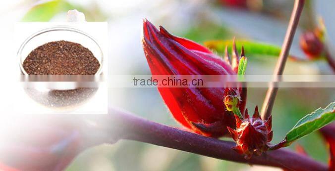 Herbal Supplement new products high quality Roselle Extract