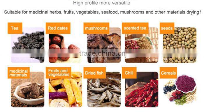 New style commercial food dryer for fruit and vegetable