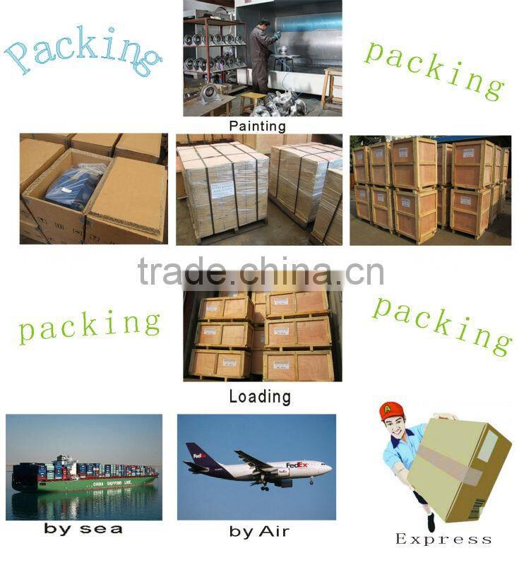 WB series cycloidal Speed reducer