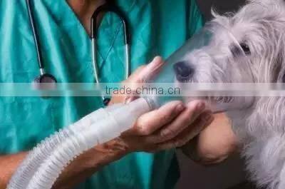 10 liter vet oxygen generator
